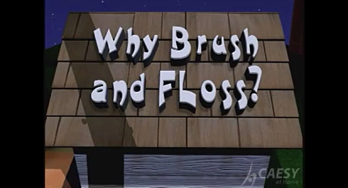 Why need floss video thumbnail